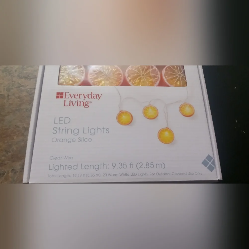 Everyday Living LED Orange Slice String Lights